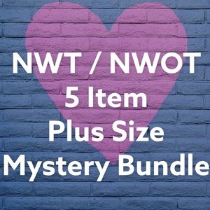 NWT + NWOT 🛍5 items 🛍 Plus Size Mystery Bundle